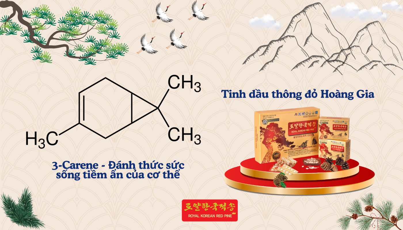 3-Carene trong tinh dầu thông đỏ - Đánh thức sức sống tiềm ẩn của cơ thể 3-Carene trong tinh dầu thông đỏ - Đánh thức sức sống tiềm ẩn của cơ thể