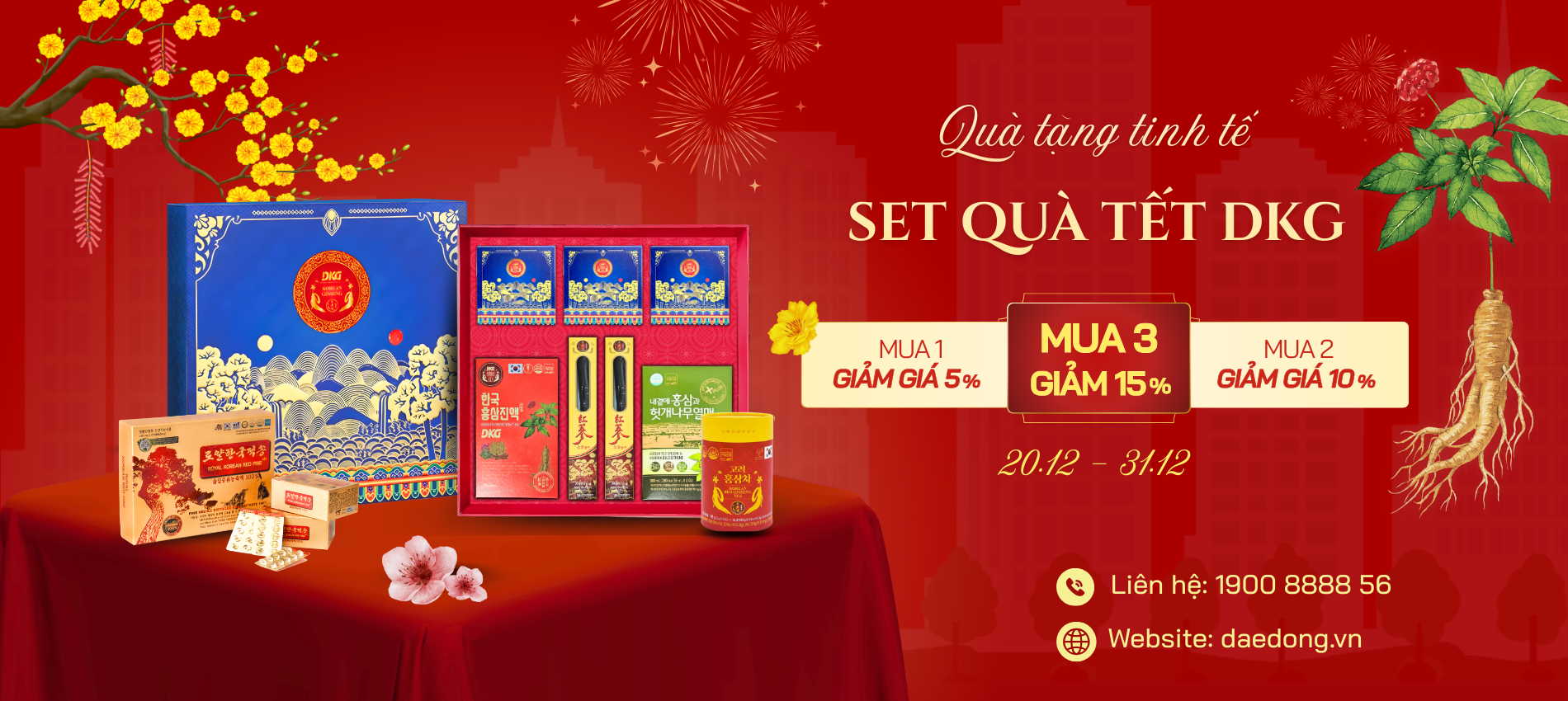 Đánh bay mỡ máu dịp Tết: Chọn Tinh Dầu Thông Đỏ cao cấp